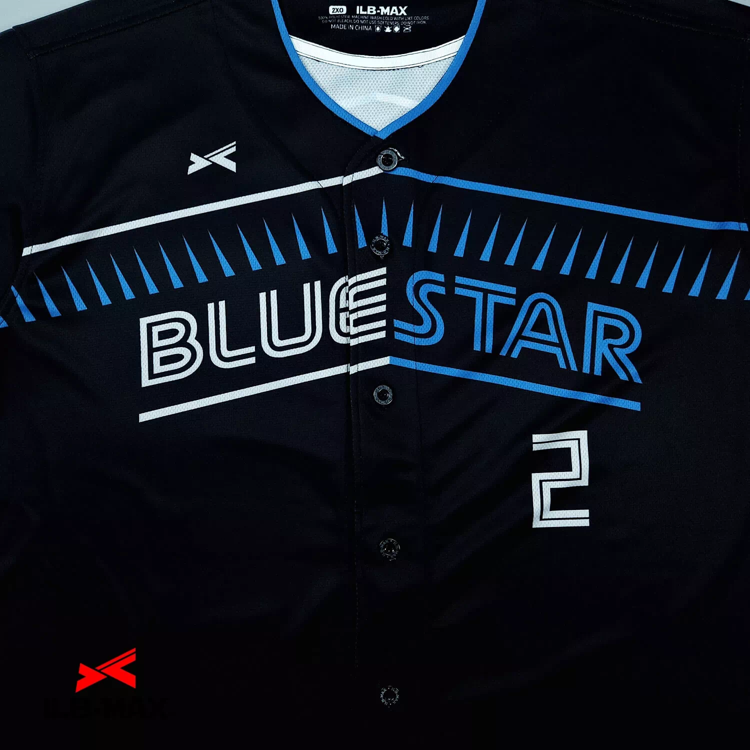 NIIGATA Blue star2