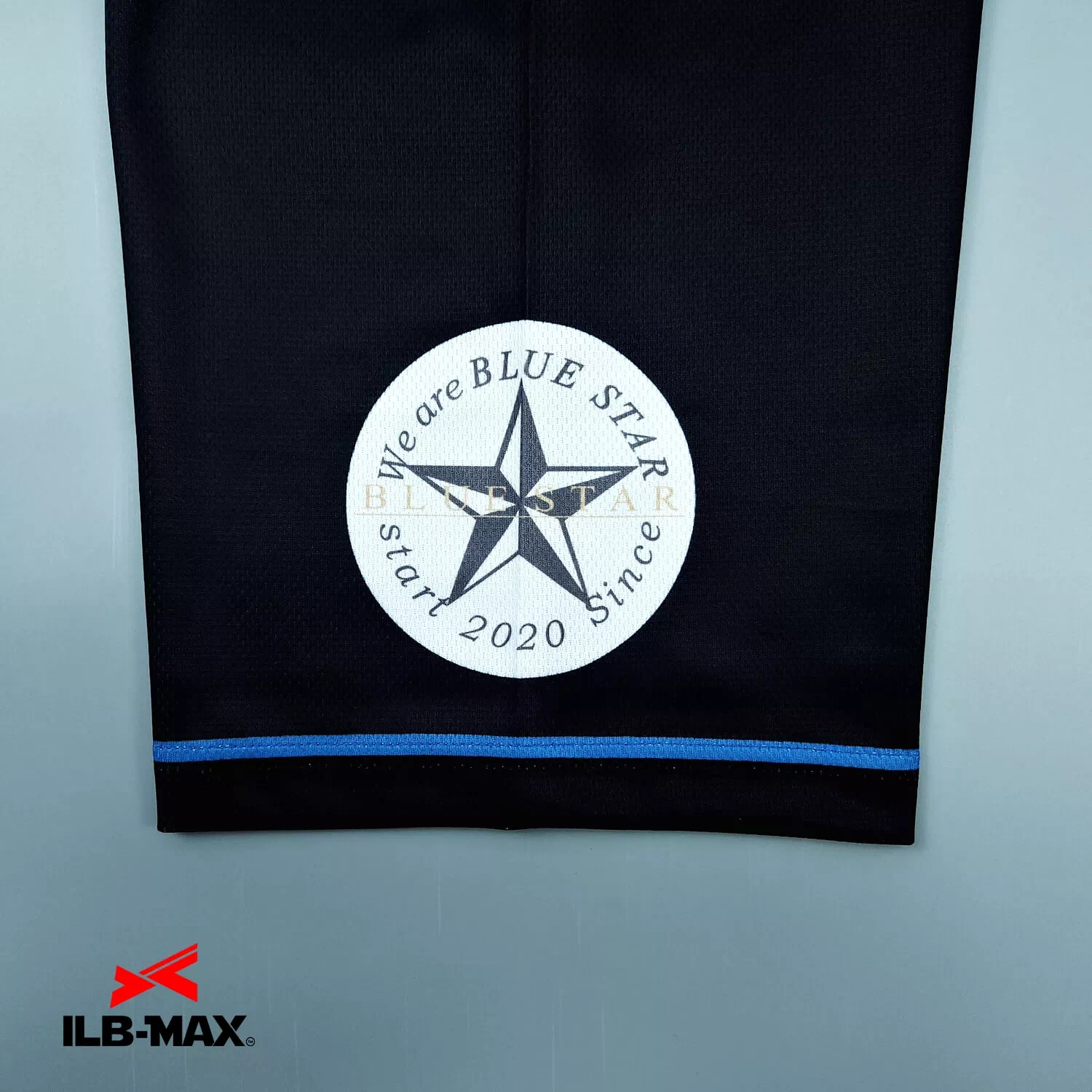 NIIGATA Blue star3