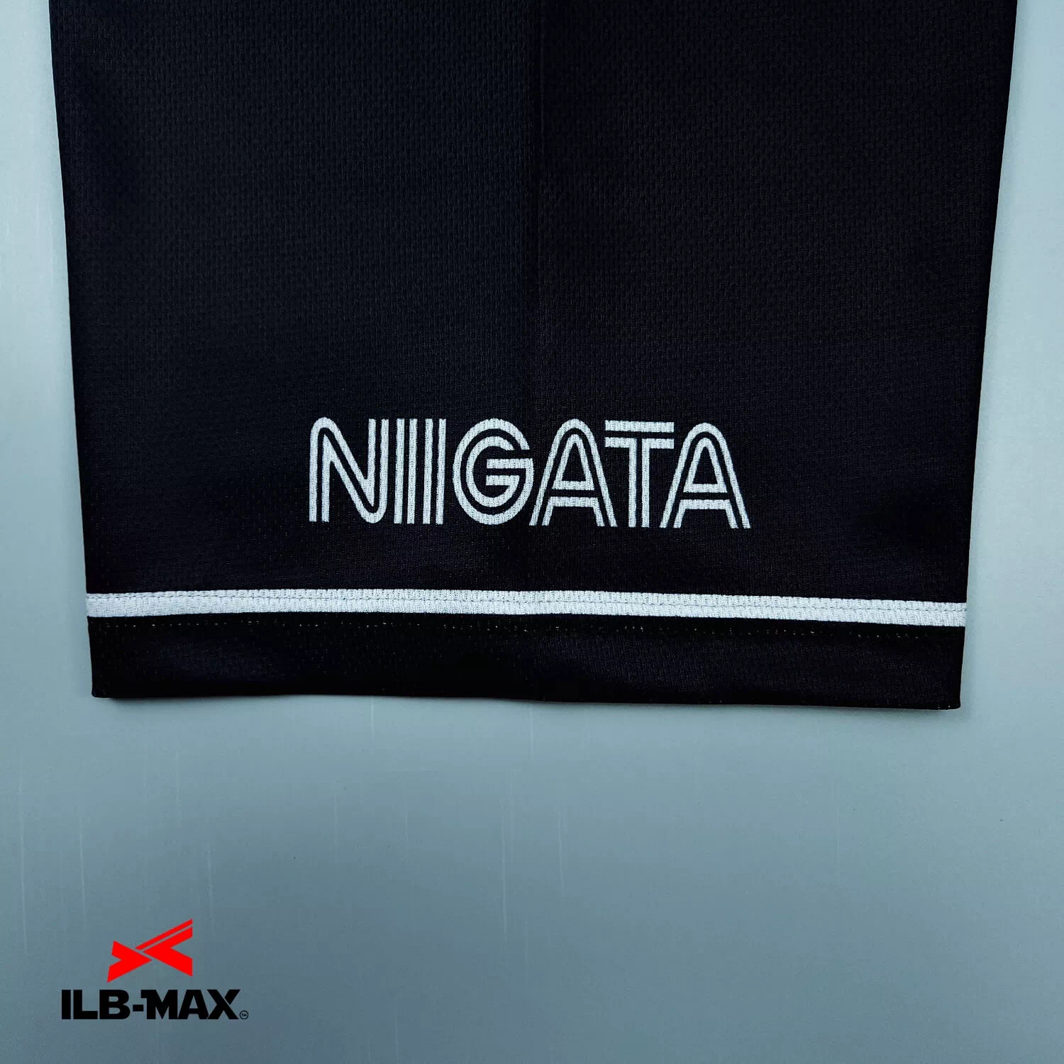 NIIGATA Blue star4