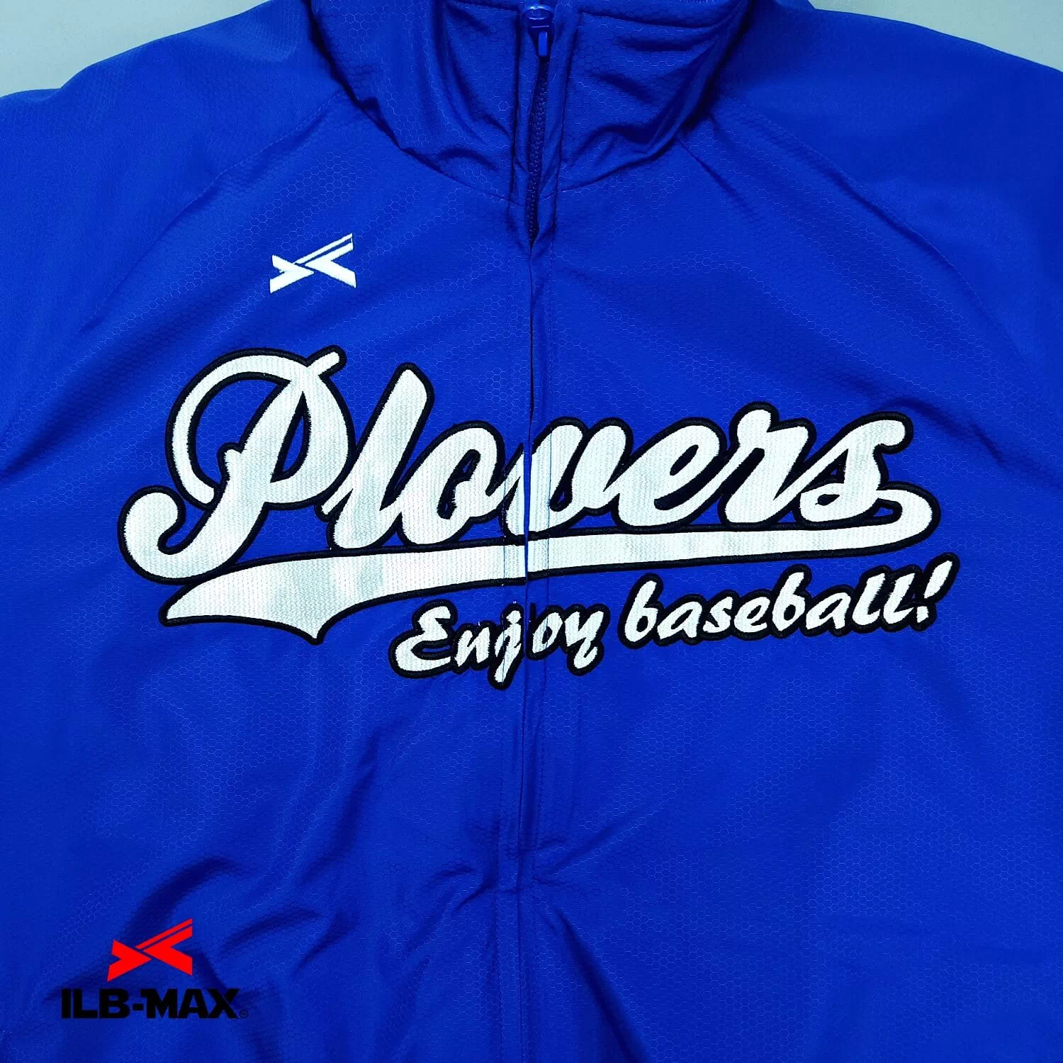 Plovers_JP1