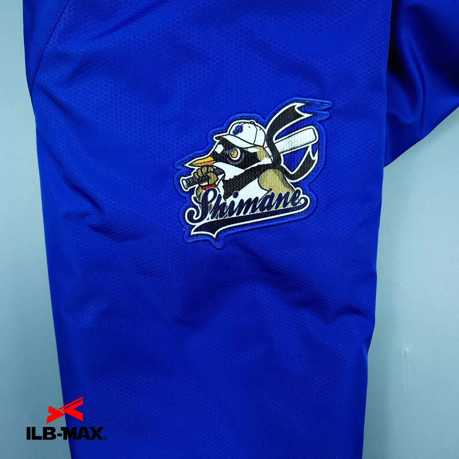 Plovers_JP2