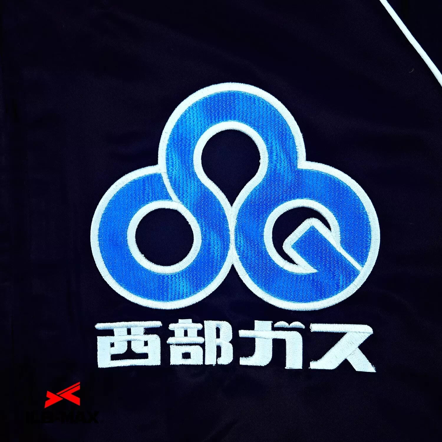 SAIBUGAS_JP2