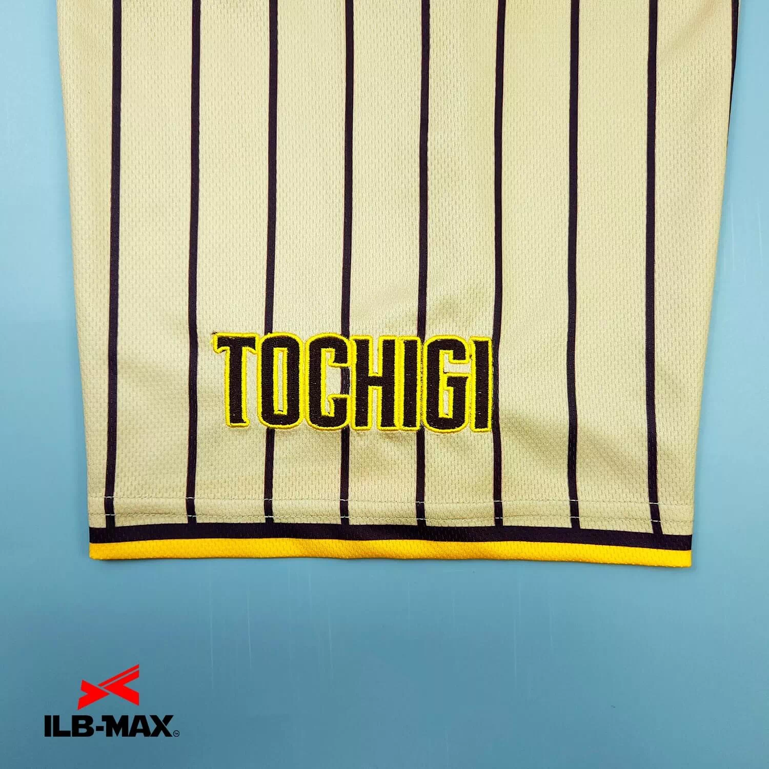 TOCHIGI PAPADES3