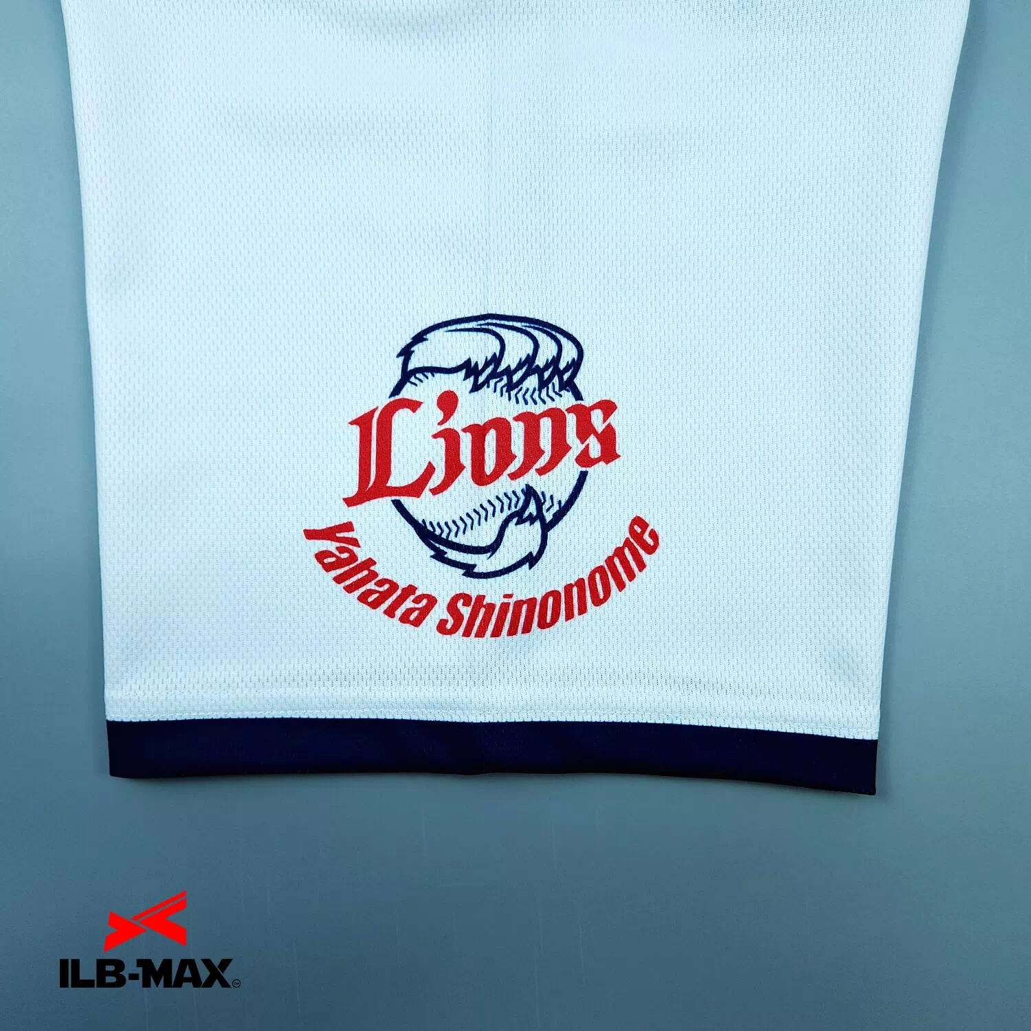 Yahata Shinonome Lions3