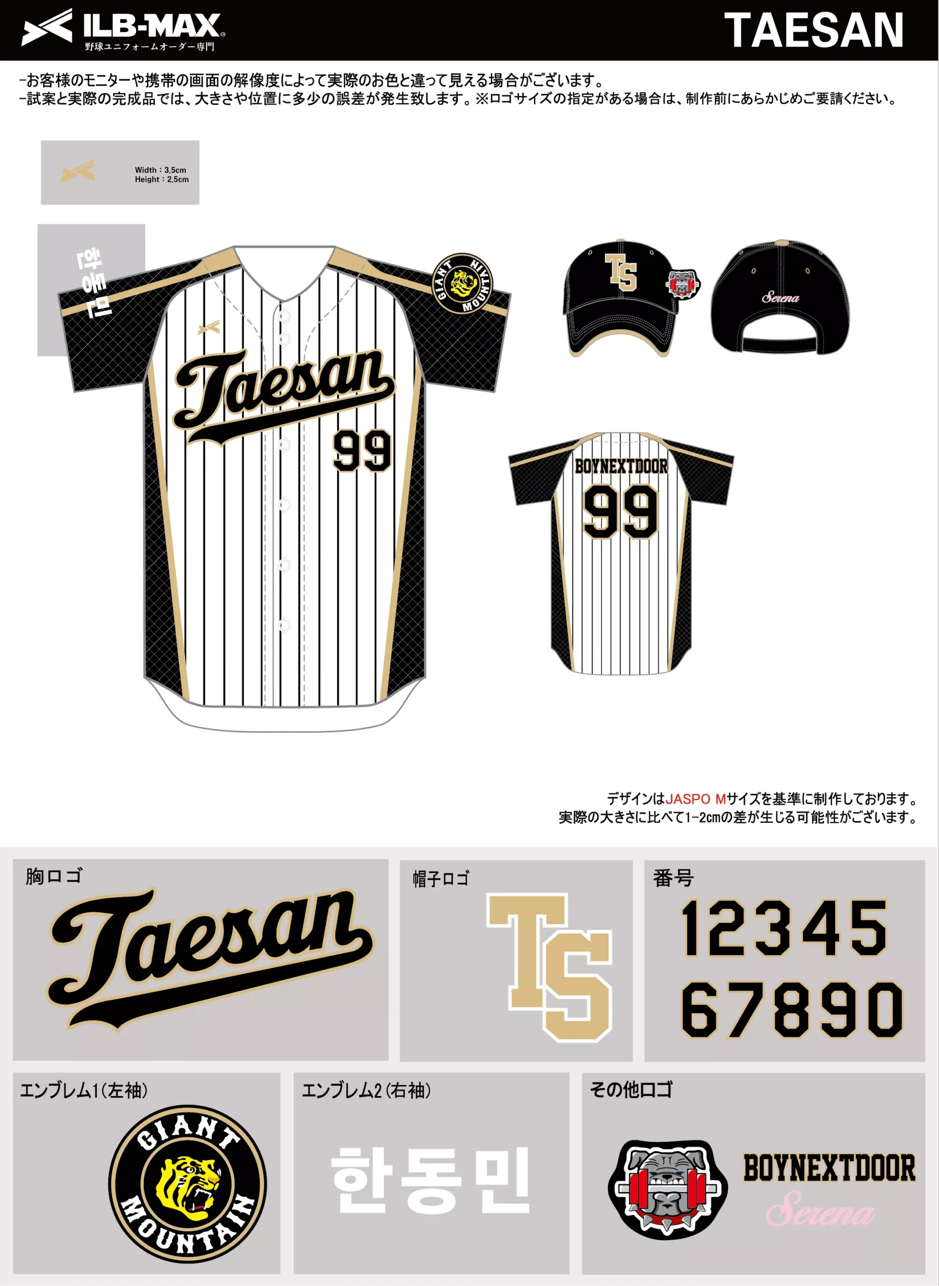 野球 ユニフォーム デザイン_TAESAN.webp
