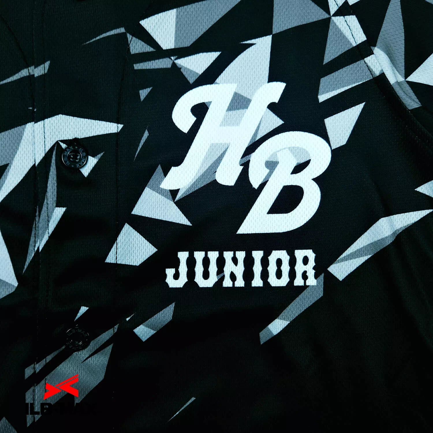 HB JUNIOR2
