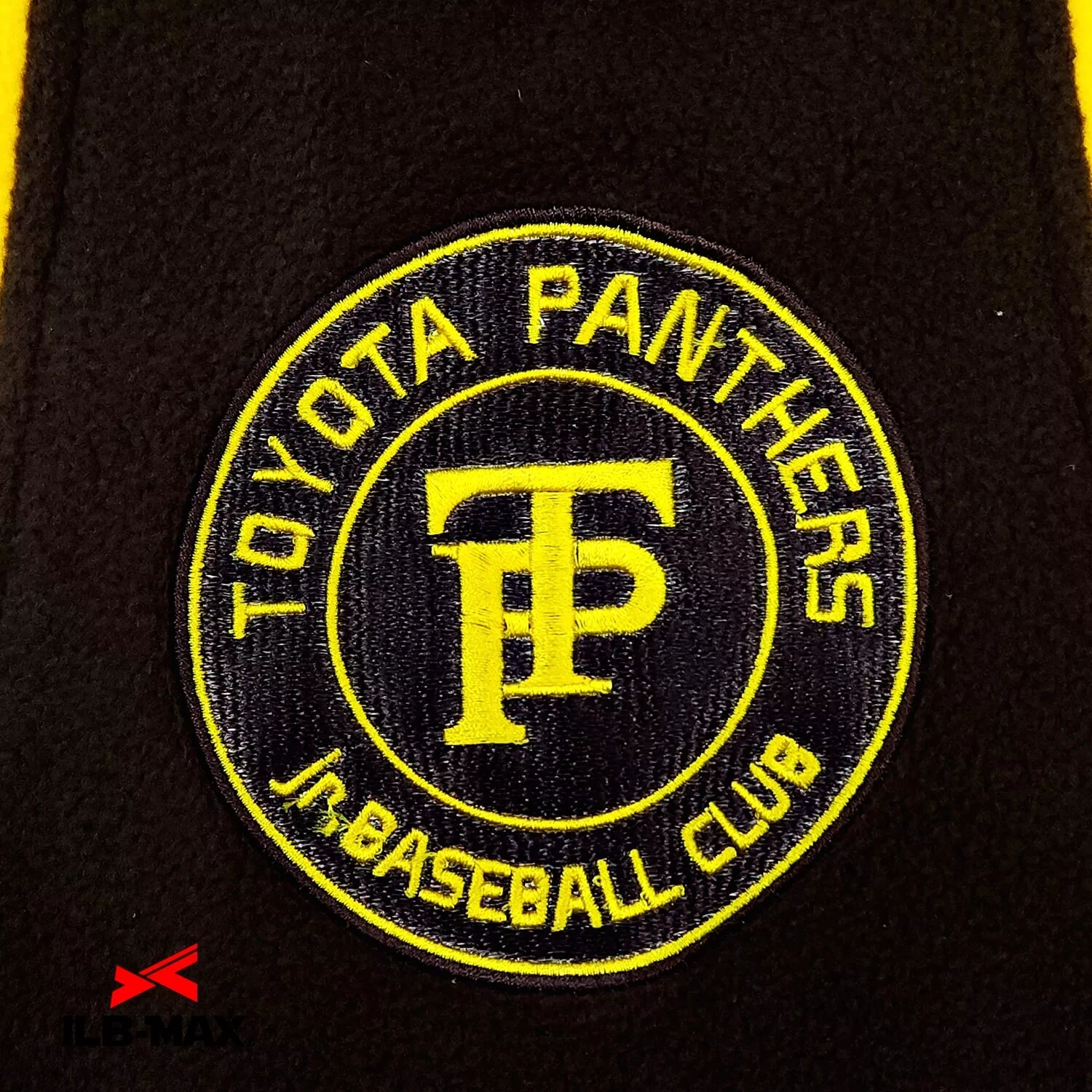 PT panthers_PV3