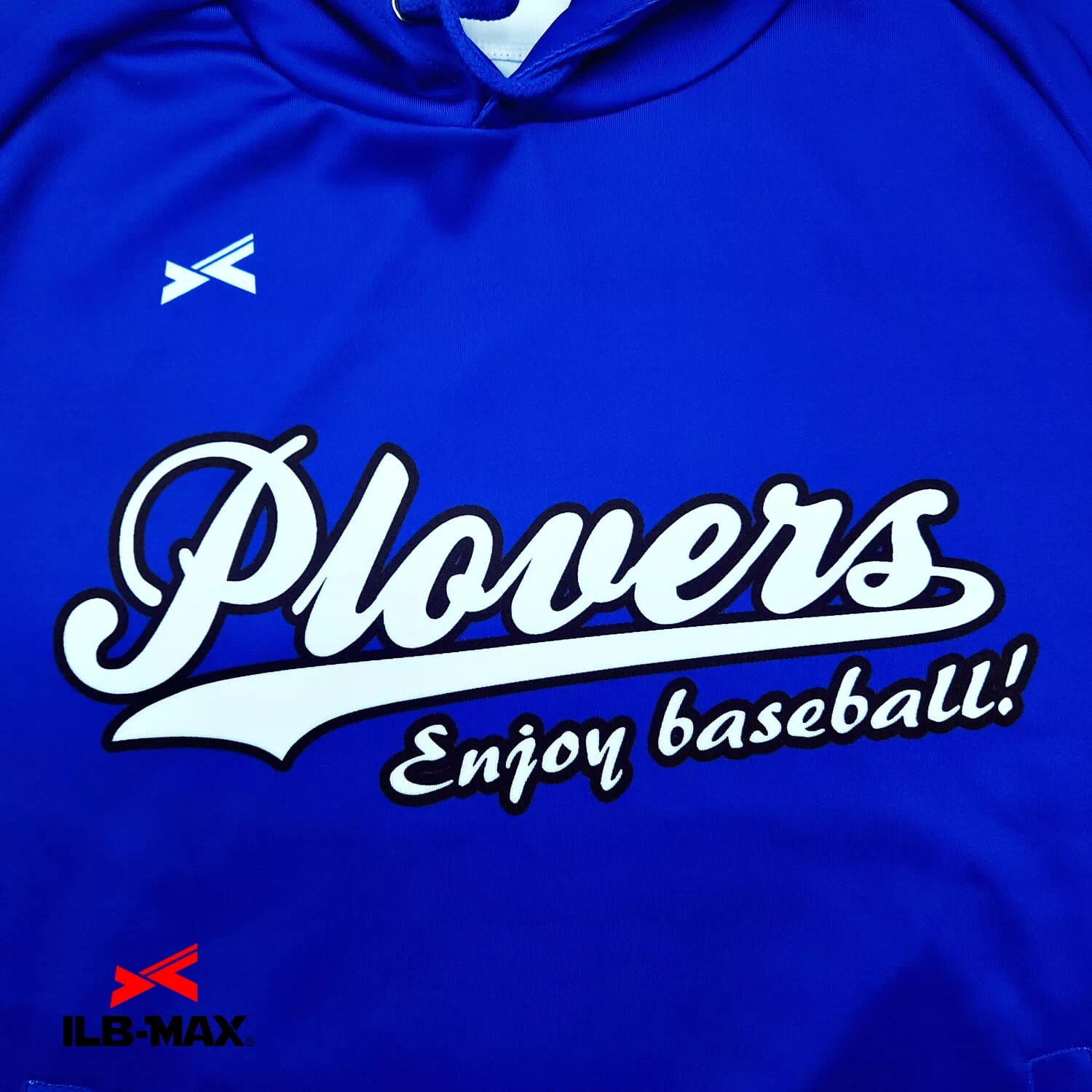 Plovers_PV1