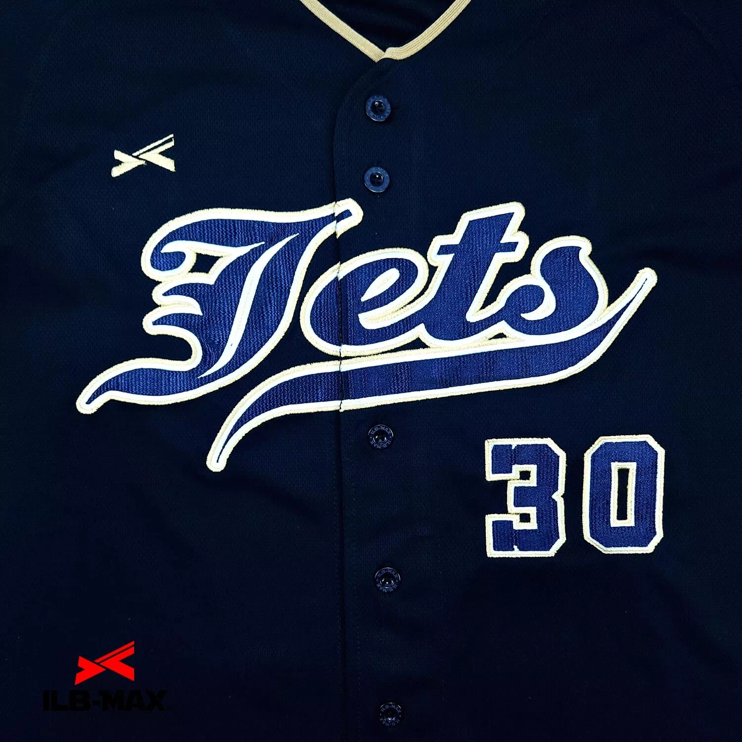 AICHI Jets2