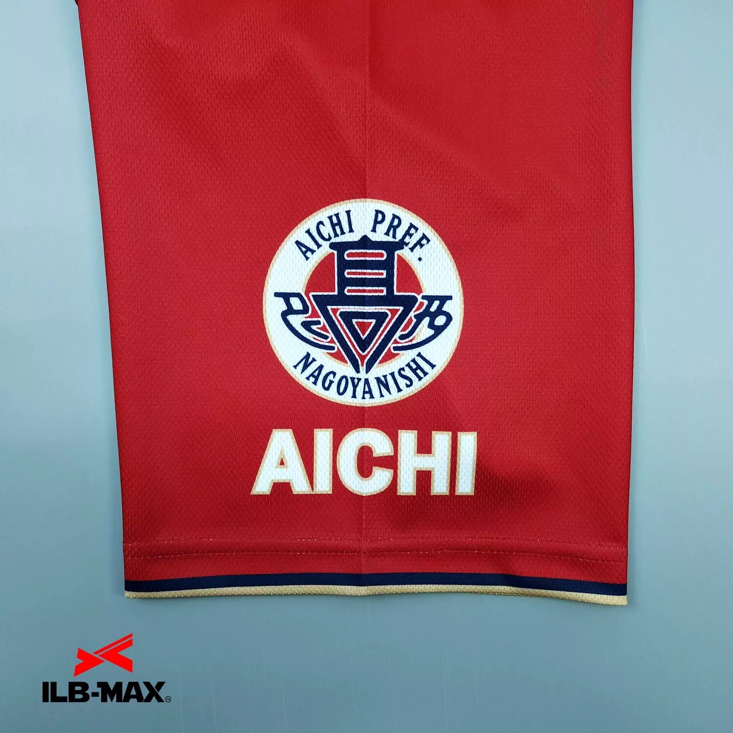 AICHI MEISEI2