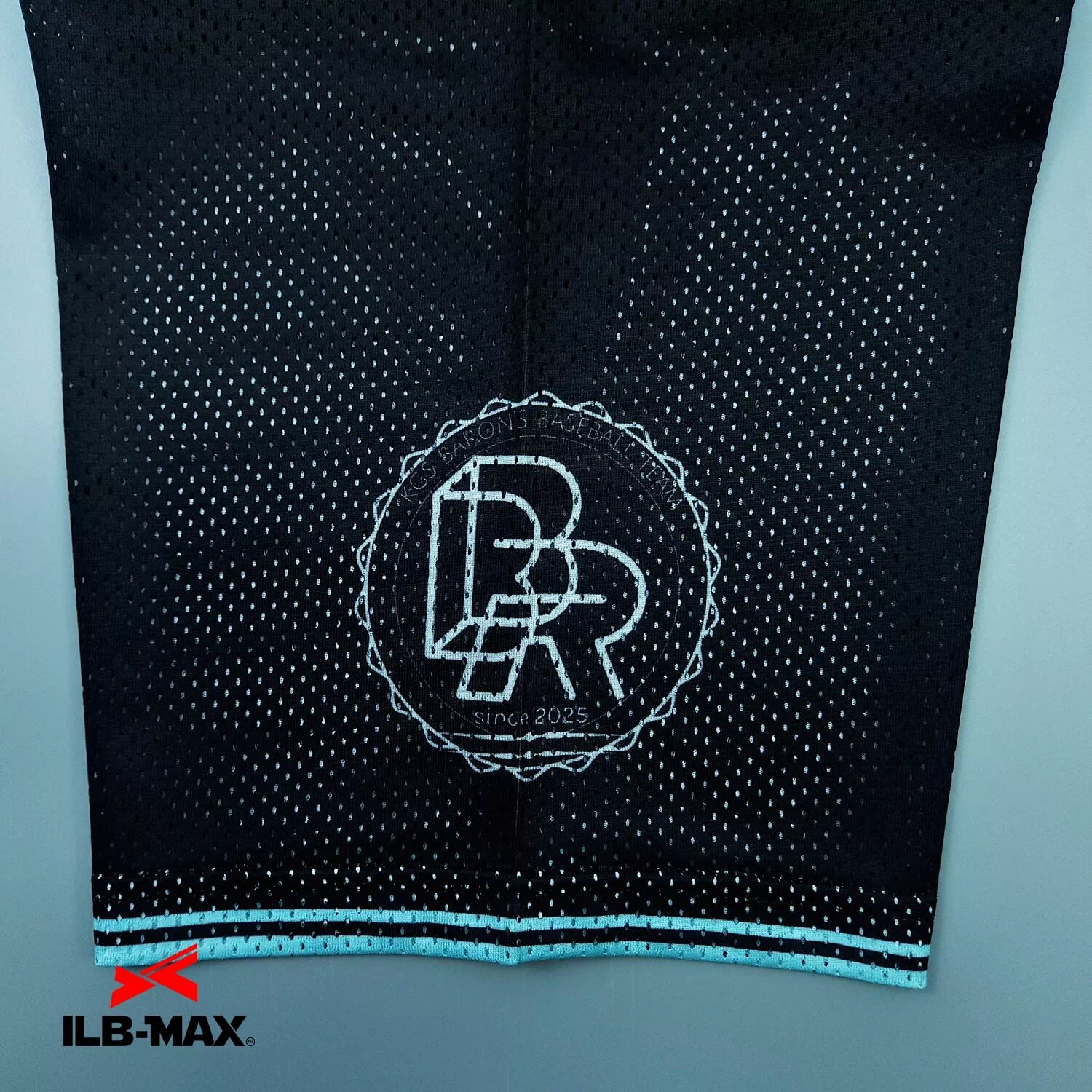 BARONS3