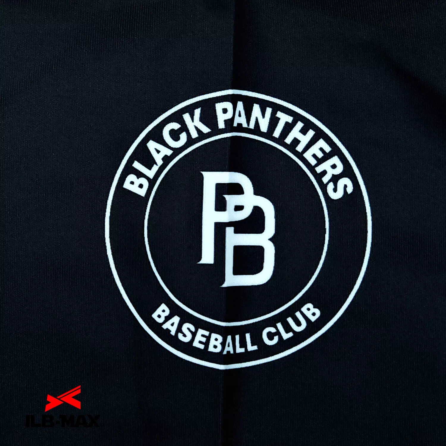 BLACK PANTHRS_PV4