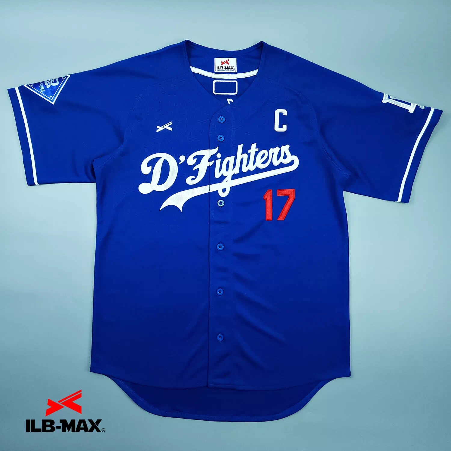 D'Fighters1