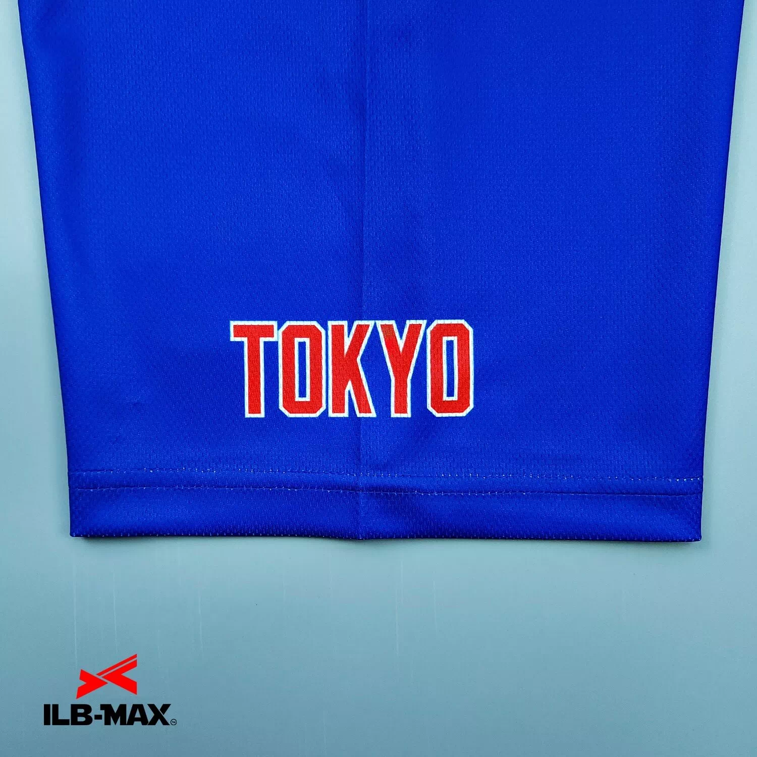 Dia Nippon4