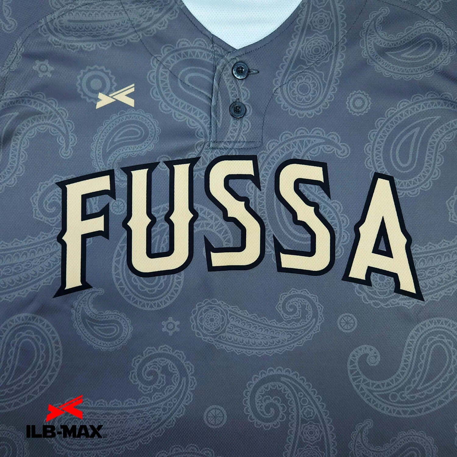 FUSSACITY1