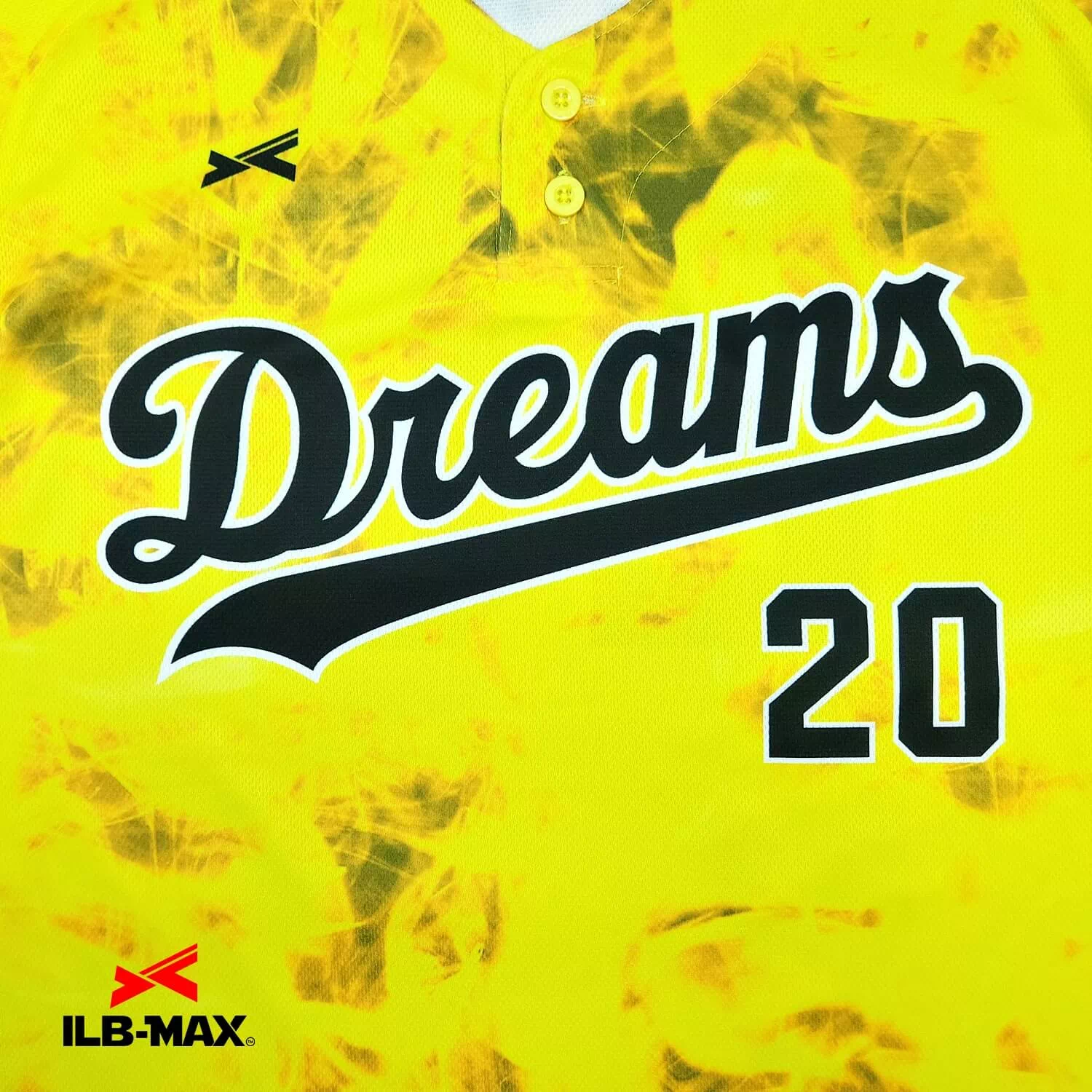INUYAMA Dreams2