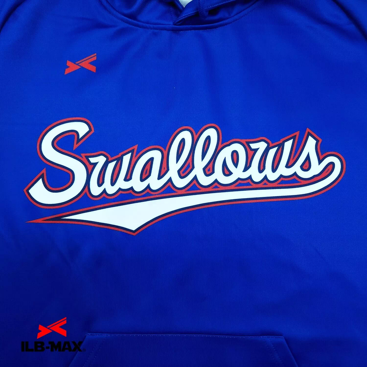 Nagoya swallows_PV1