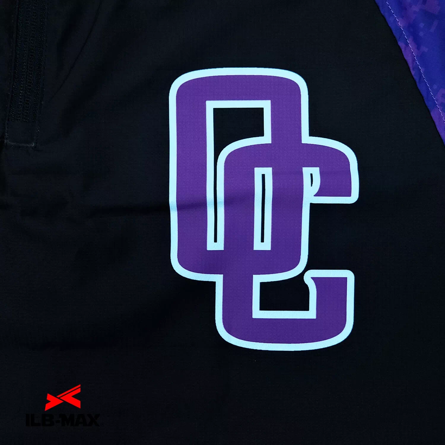 OC HORNETS_WB2