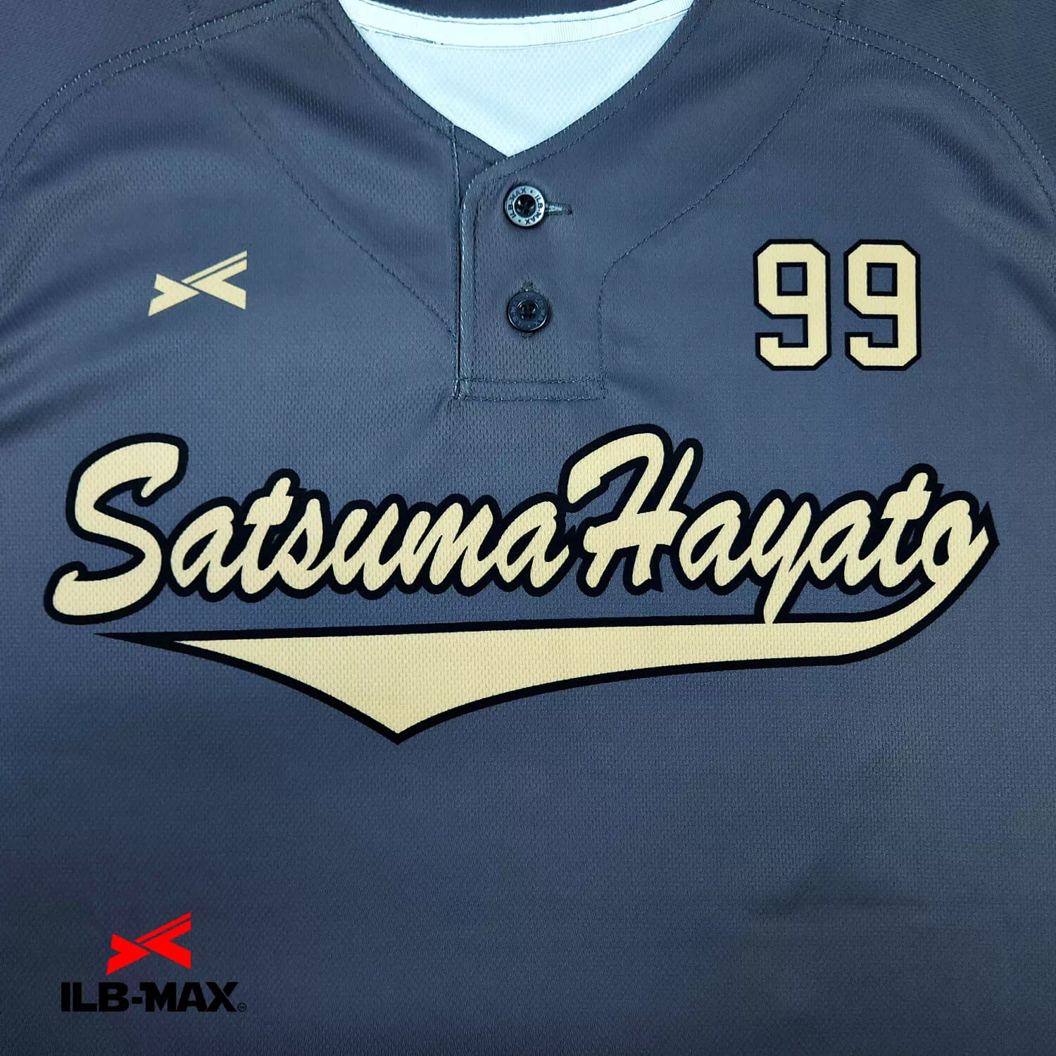 SATSUMA HAYATO2