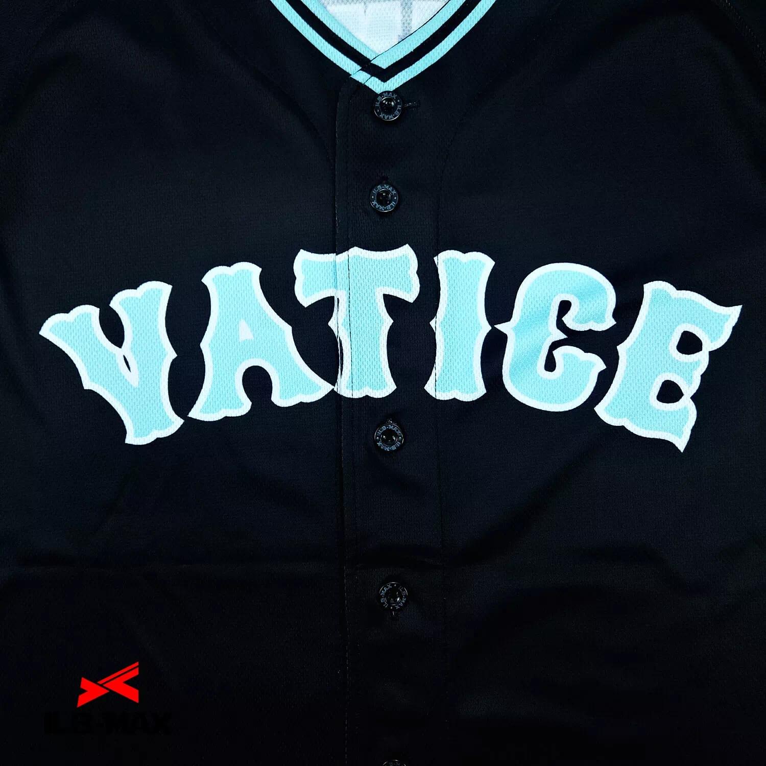 VATICE2