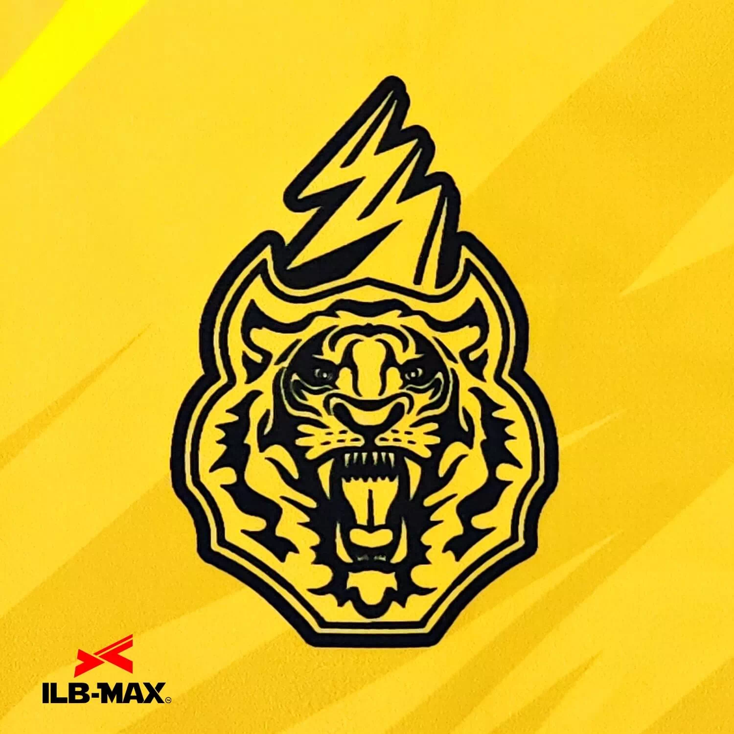 Yellow force 1st_WB3