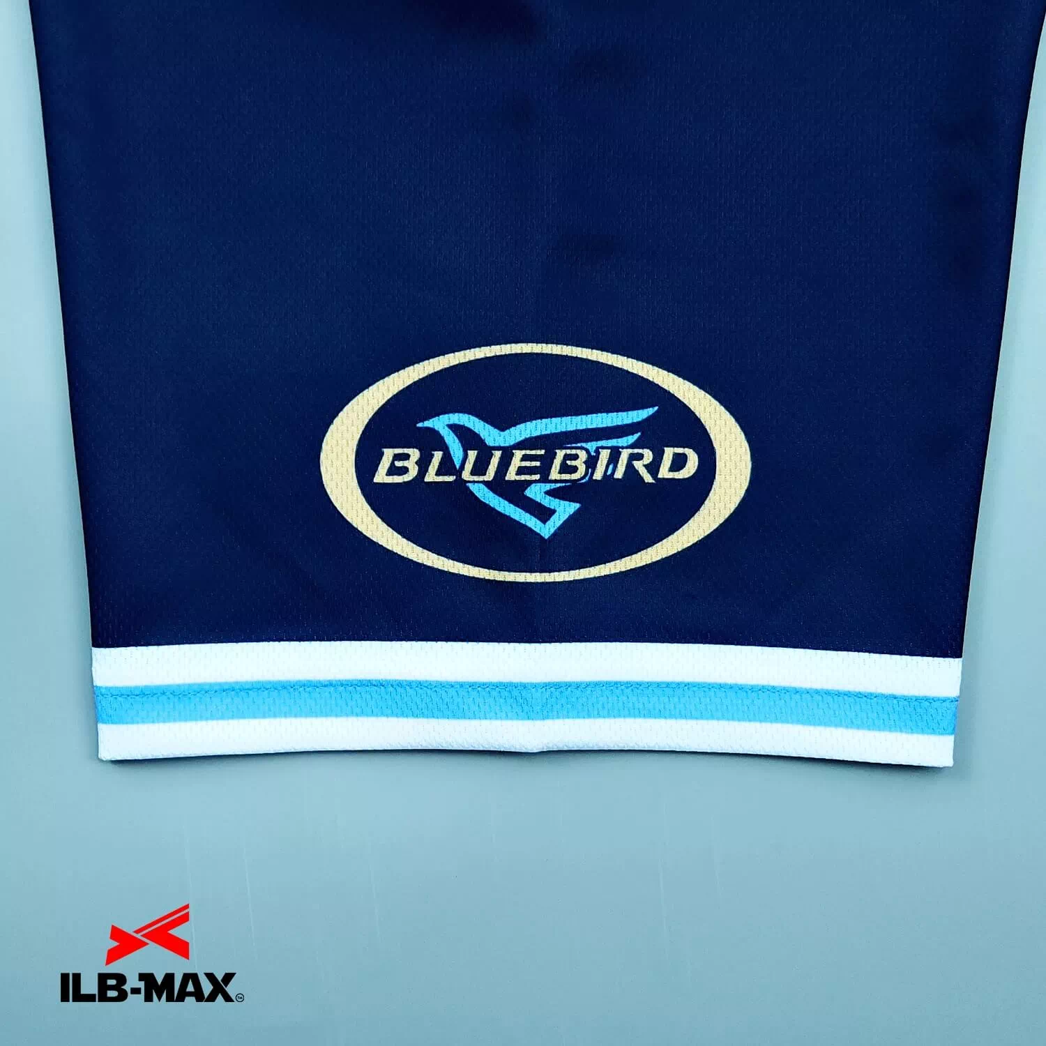 blue bird5