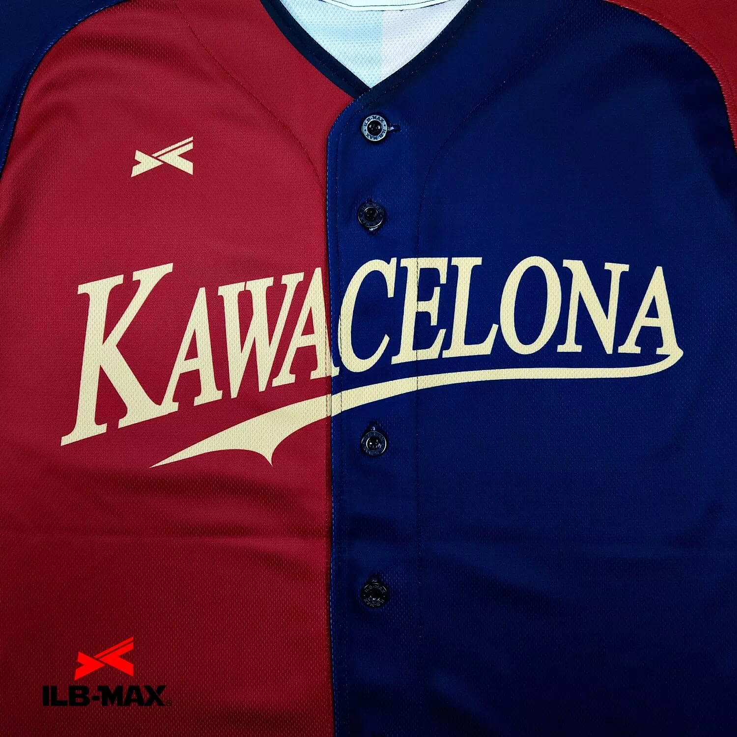 kawacelona2