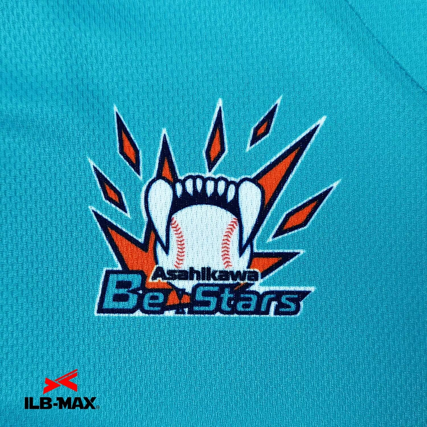 Be Stars 4th4