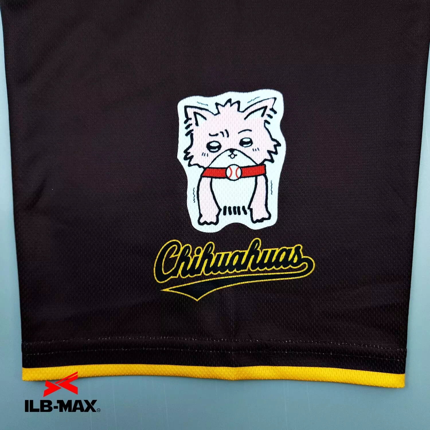 Chihuahuas3