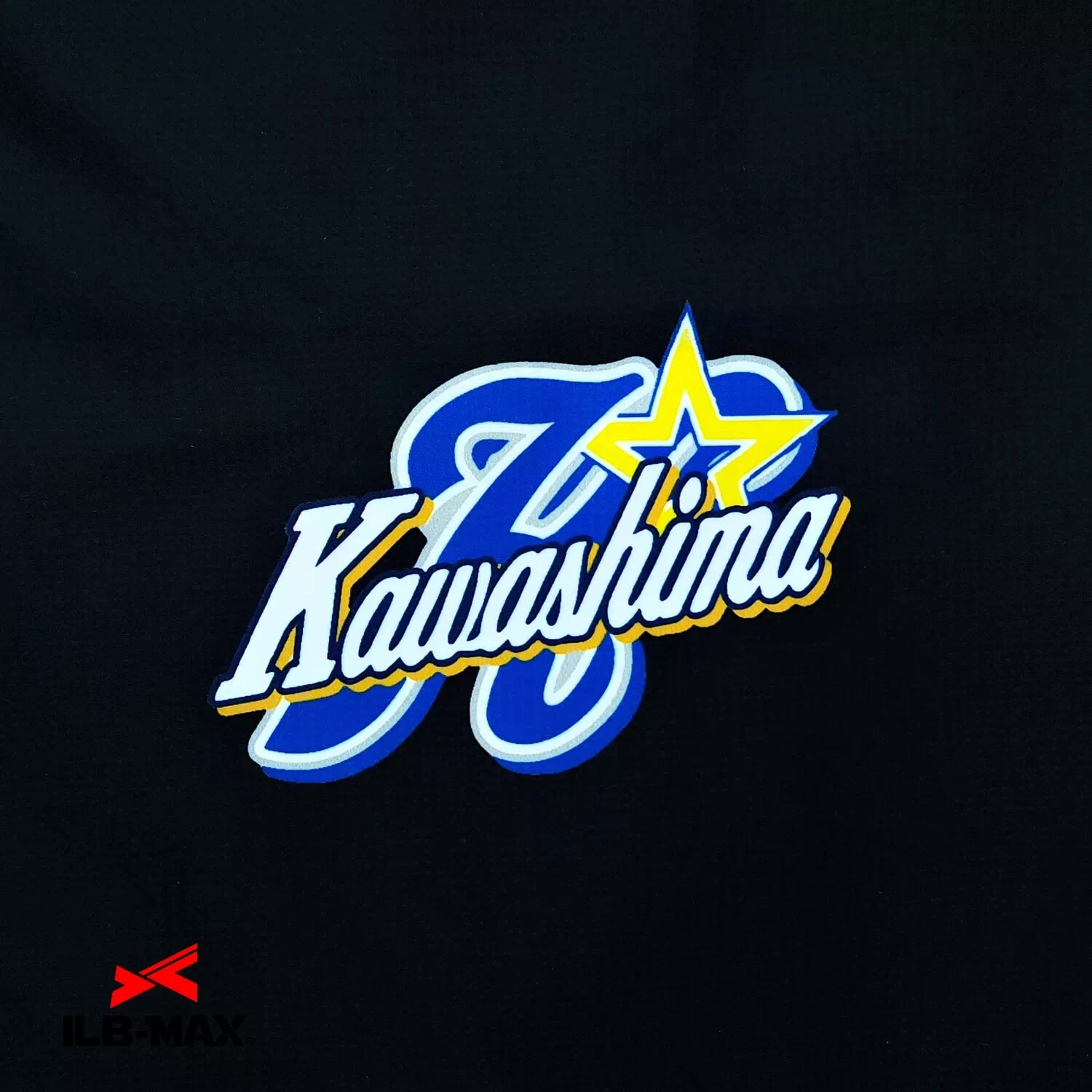 Gifu Kawashima3