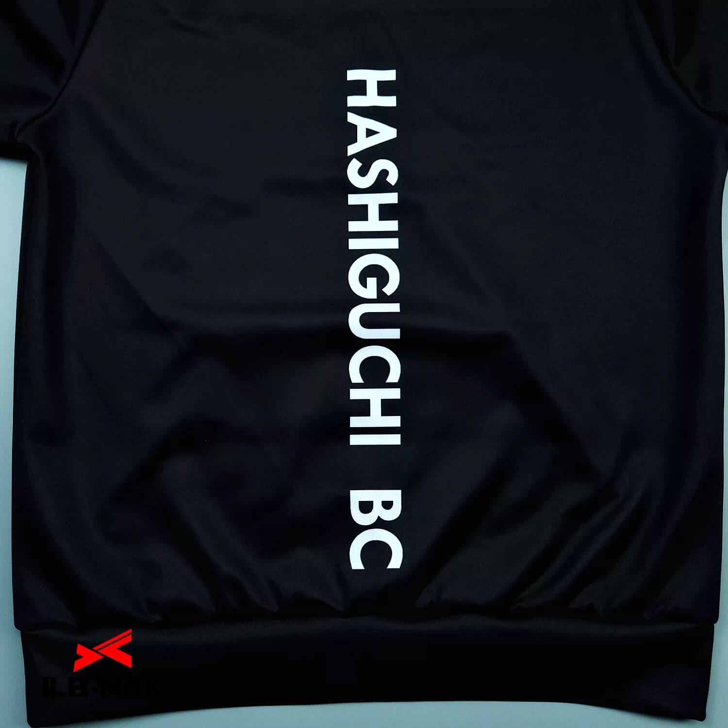 HASHIGUCHI_PV3