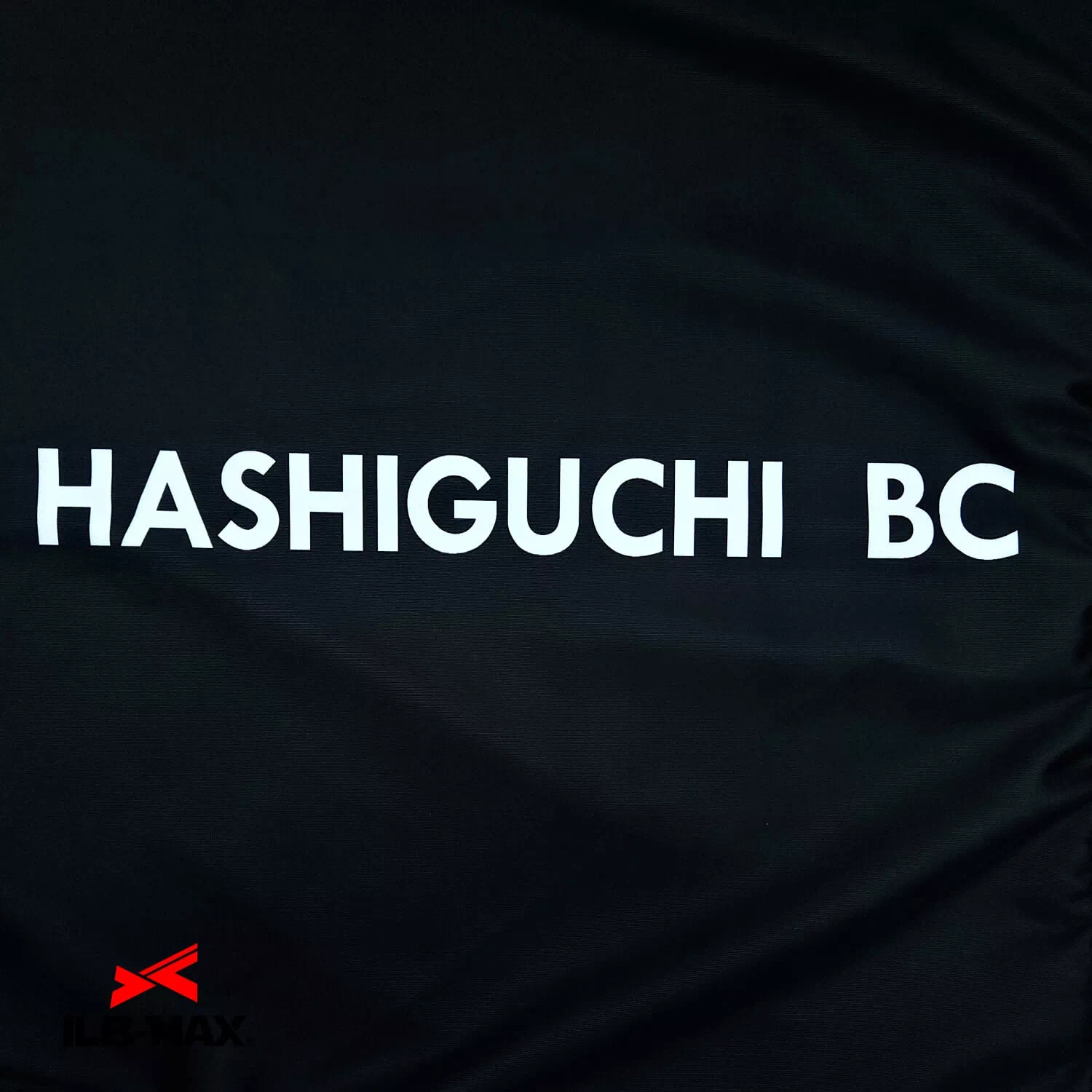 HASHIGUCHI_PV4