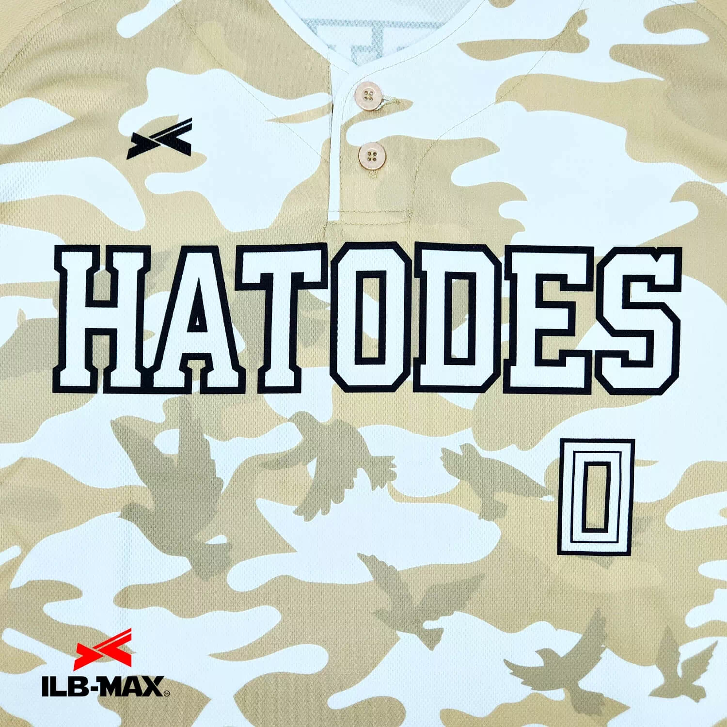 HATODES2