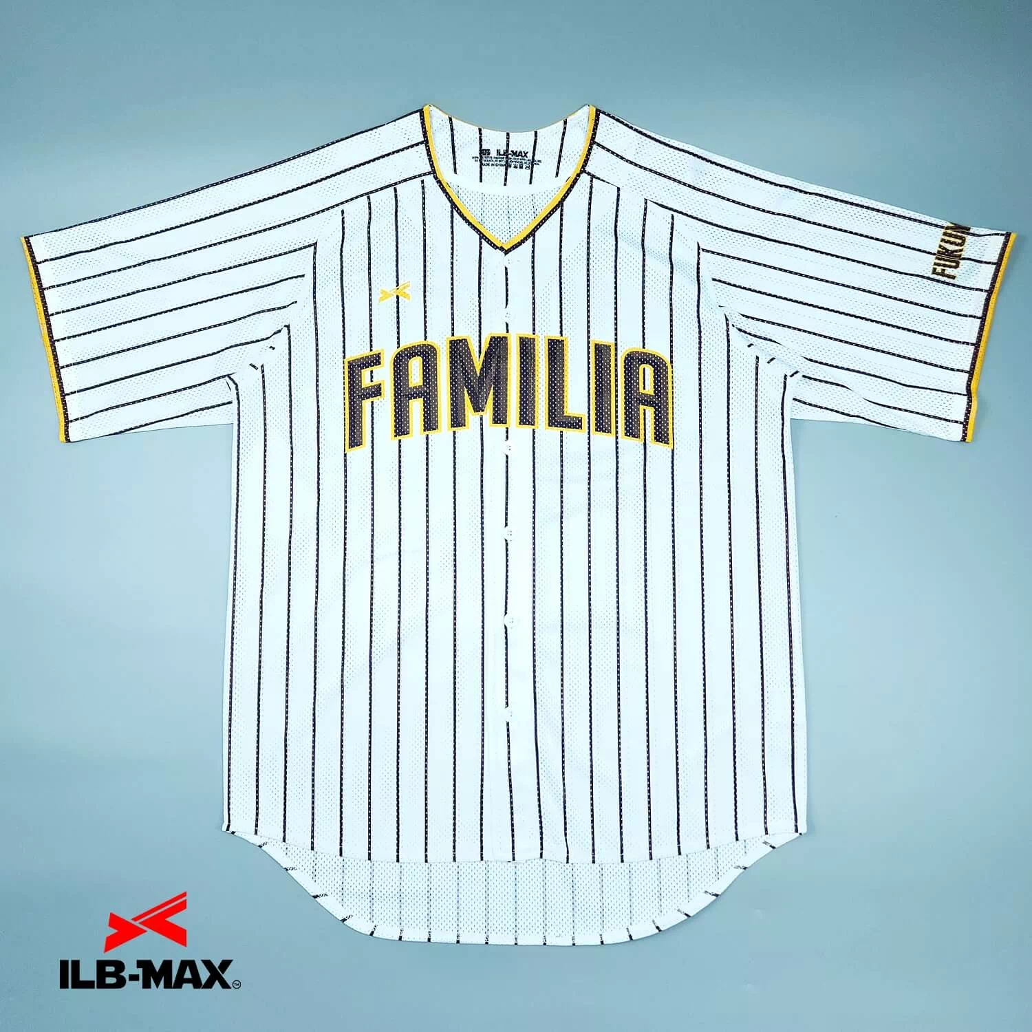 HIROSHIMA FAMILIA2