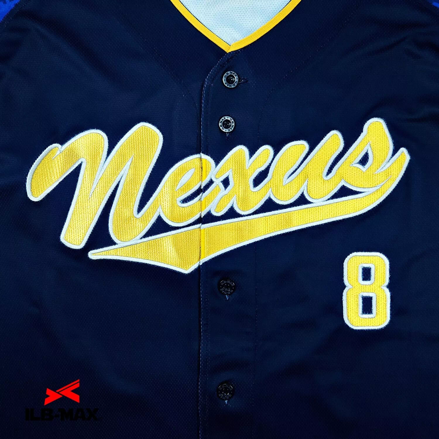 HYOGO NEXUS1