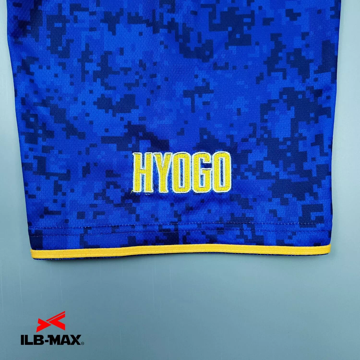 HYOGO NEXUS2