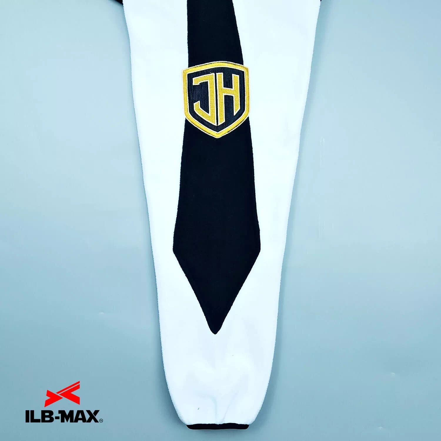 Johoku Tigers_PV3