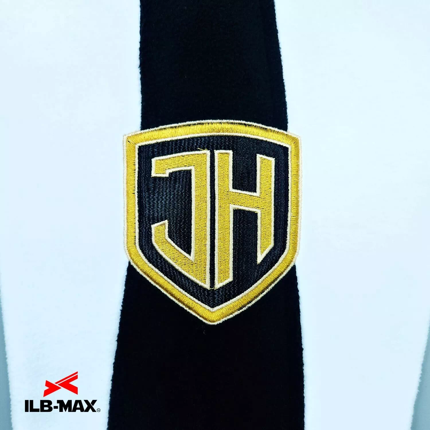 Johoku Tigers_PV4