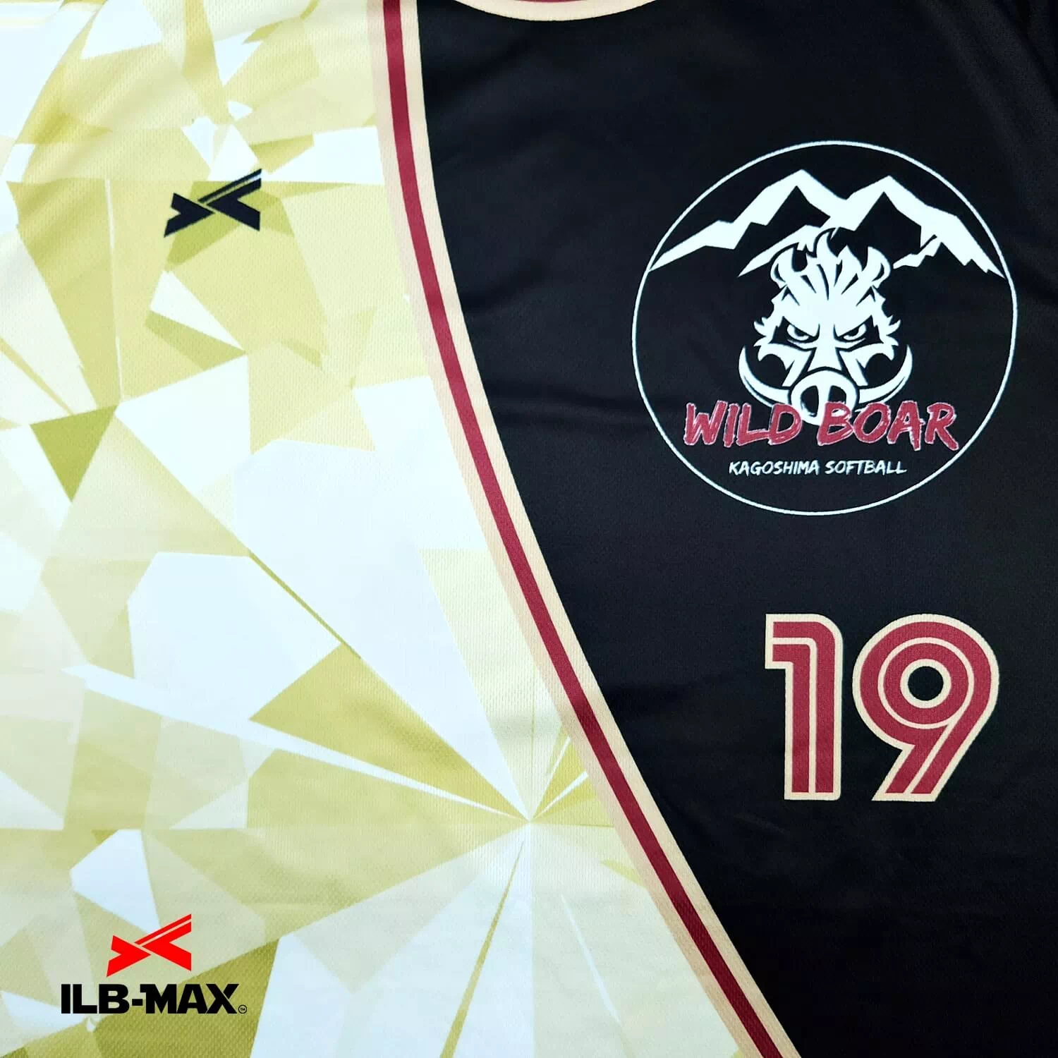 KAGOSHIMA WILD BOAR_ST1