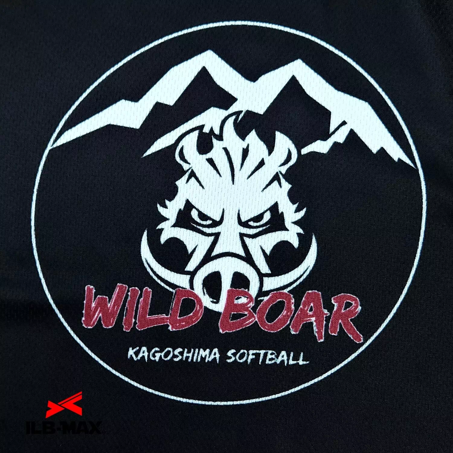 KAGOSHIMA WILD BOAR_ST2