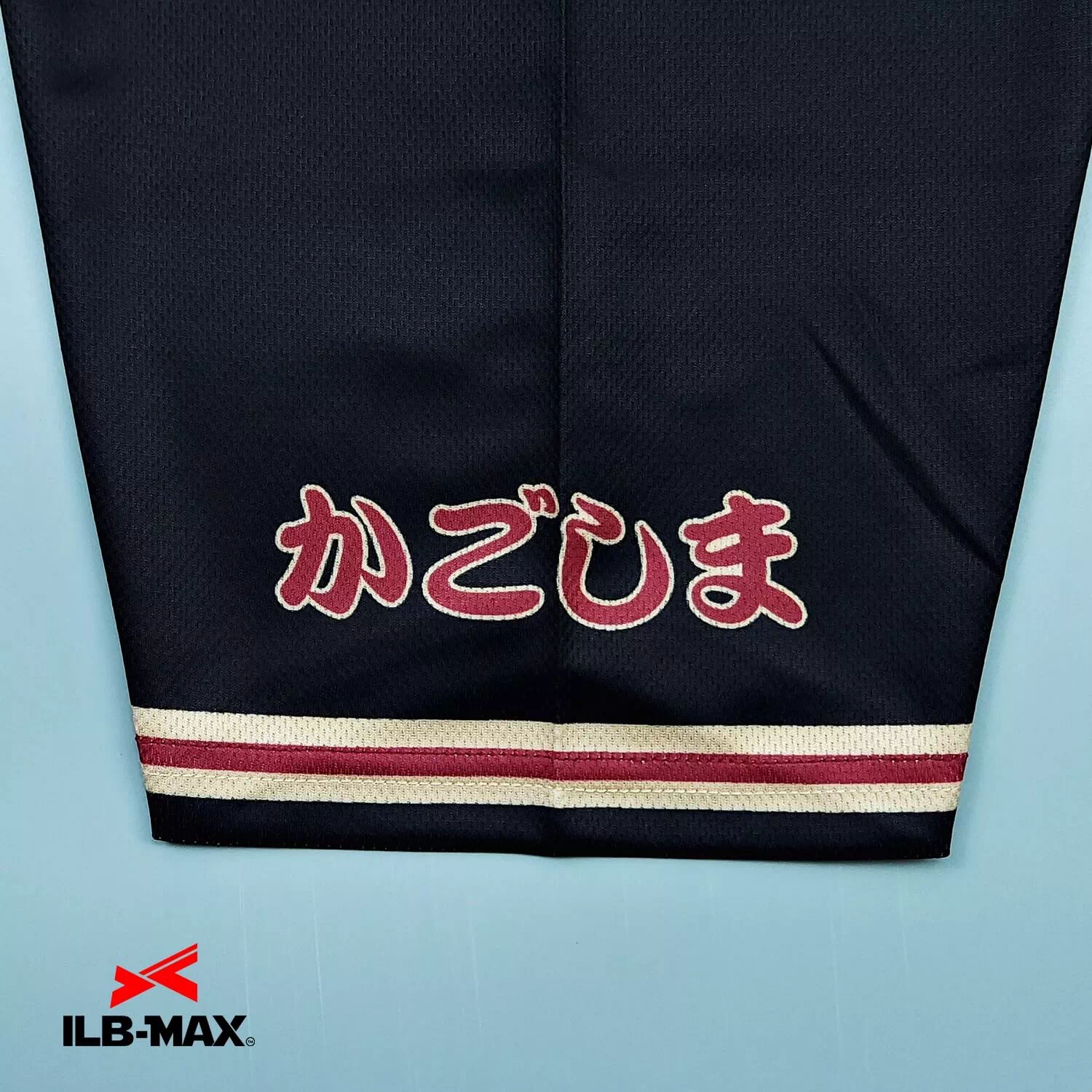 KAGOSHIMA WILD BOAR_ST3
