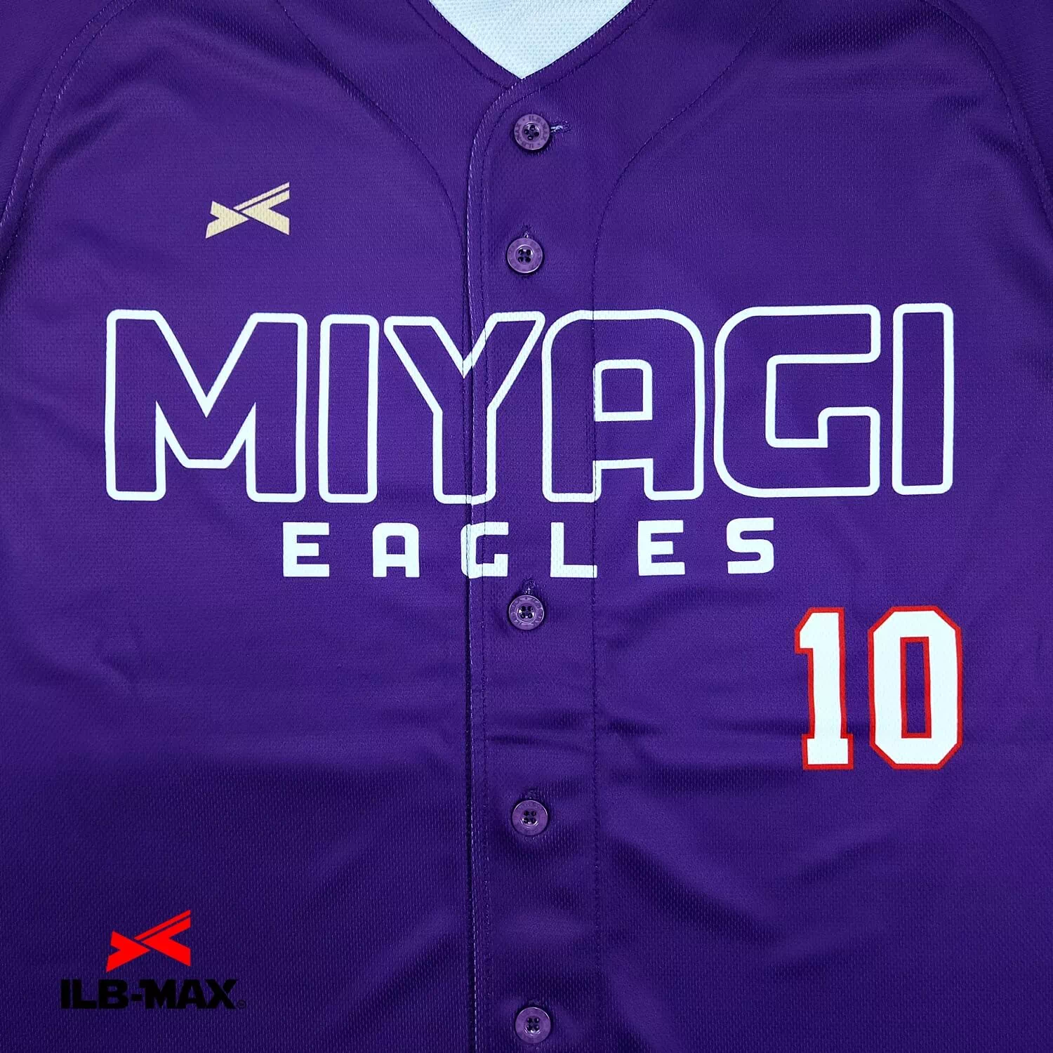 MIYAGI EAGLES2
