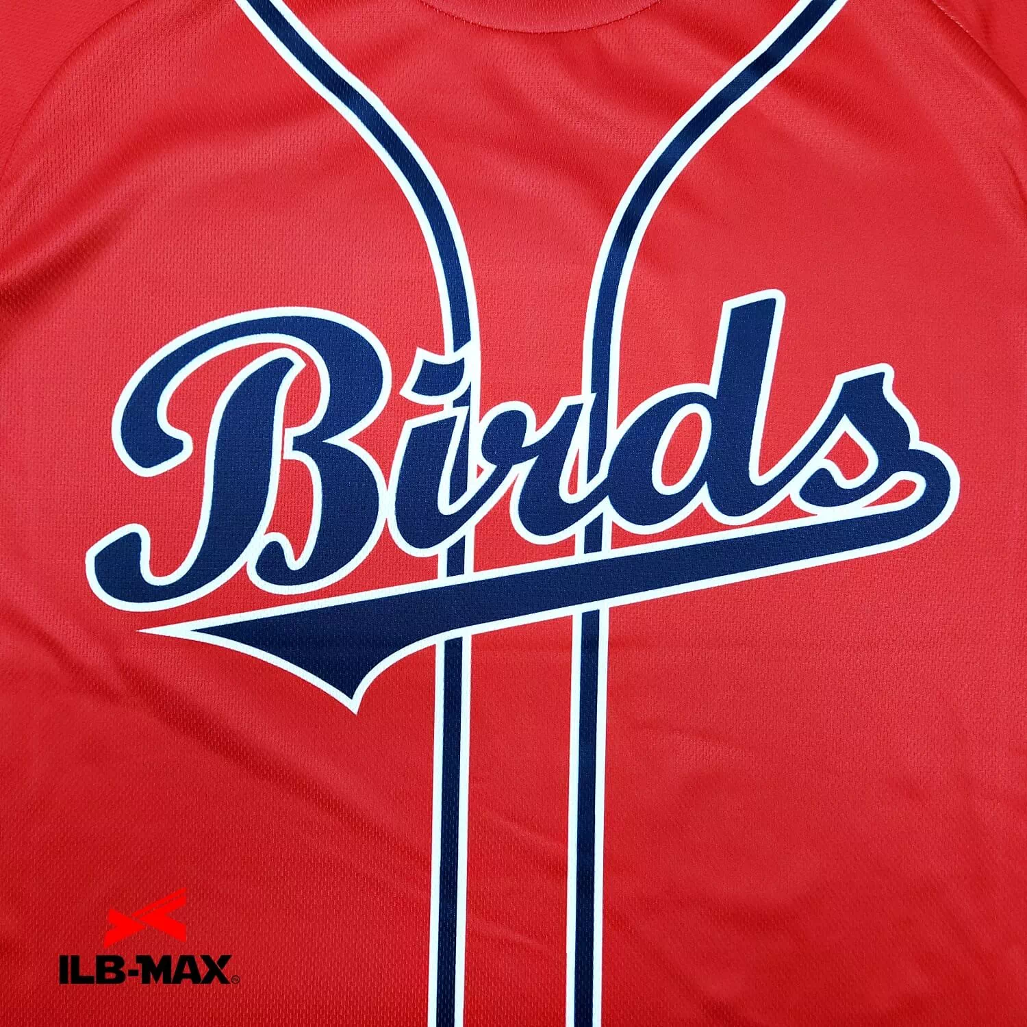 MIYAZAKIDAI Birds_ST1