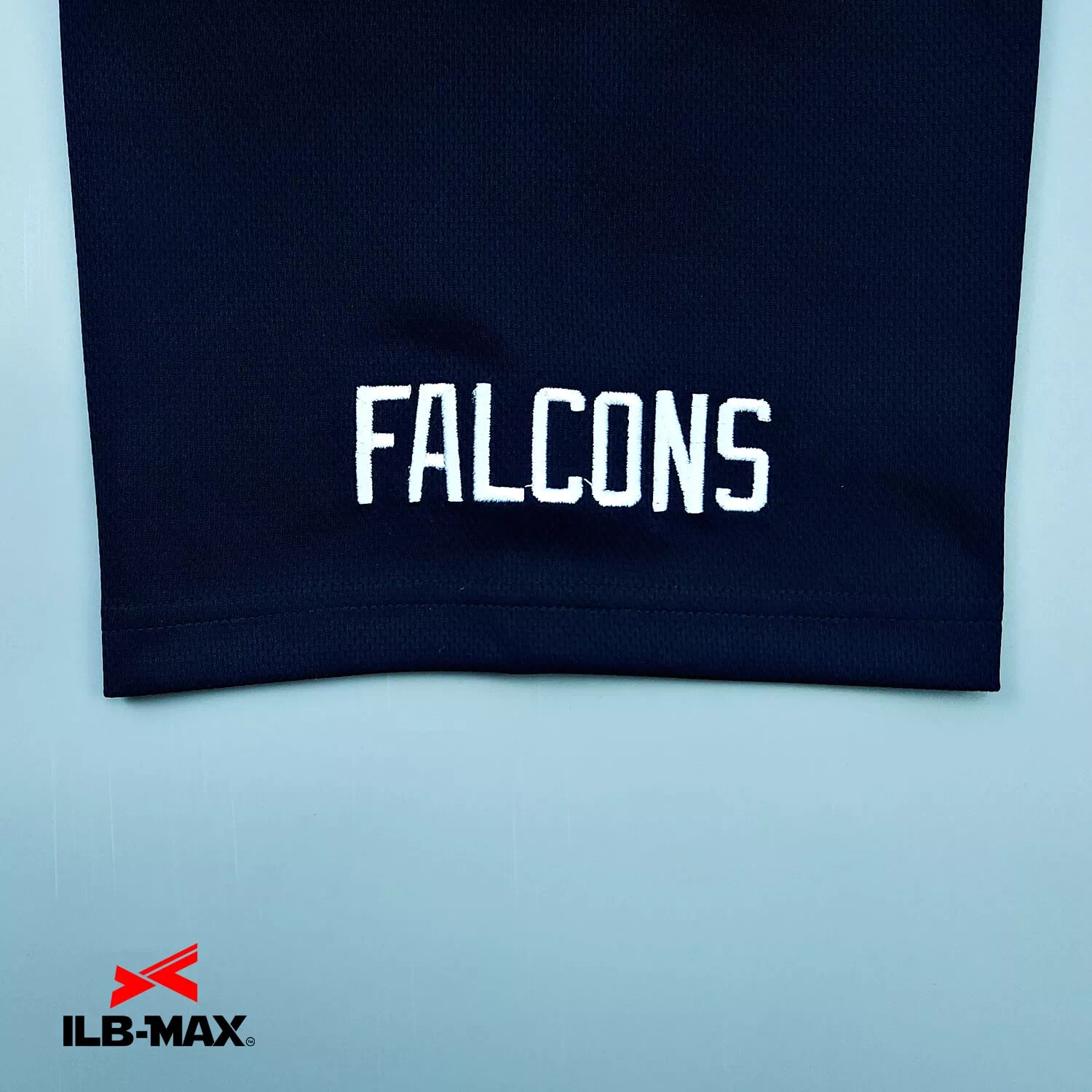 NAGOYA FALCONS 1st4