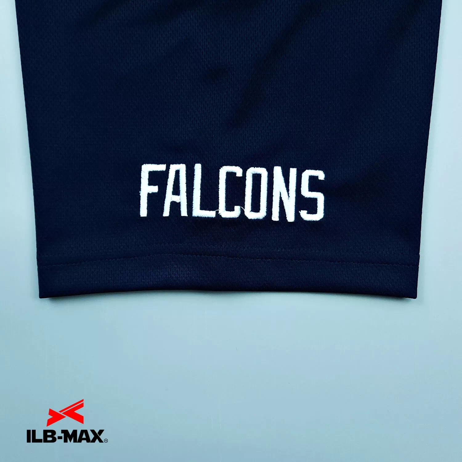 NAGOYA FALCONS 2nd4