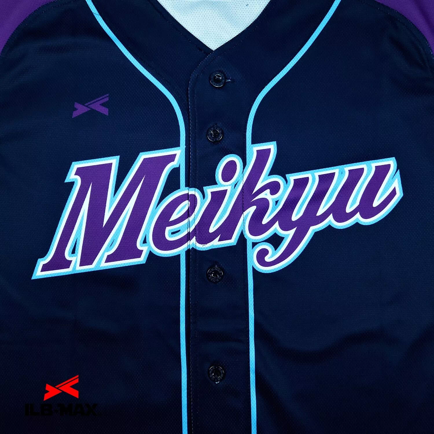 NIIGATA MEIKYU2