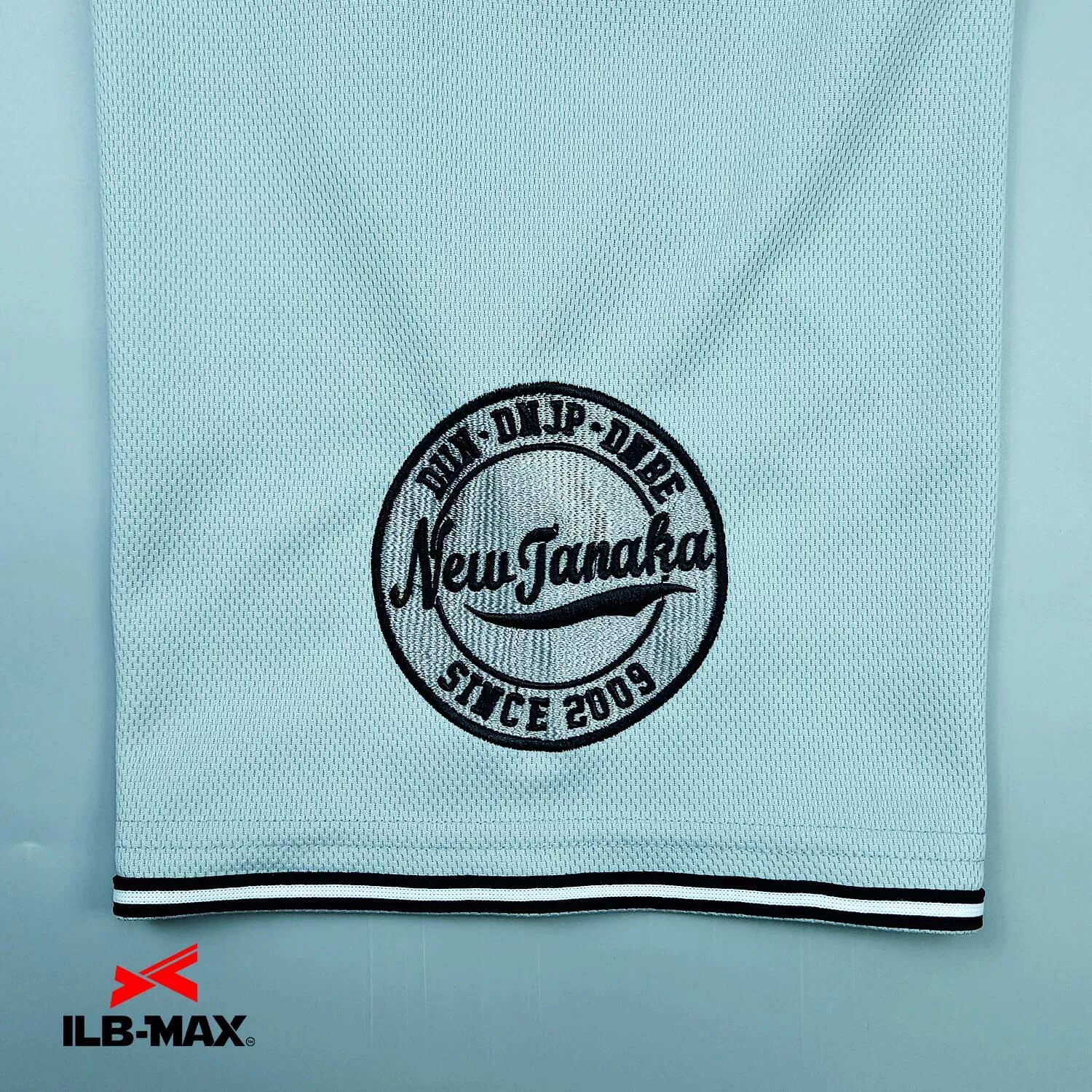 New Tanaka3
