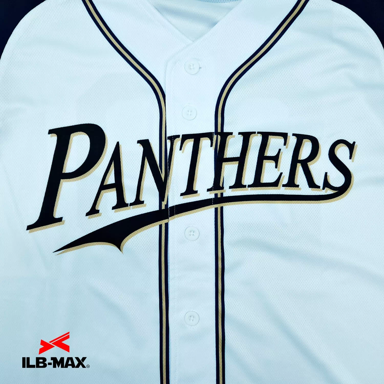 PT panthers1
