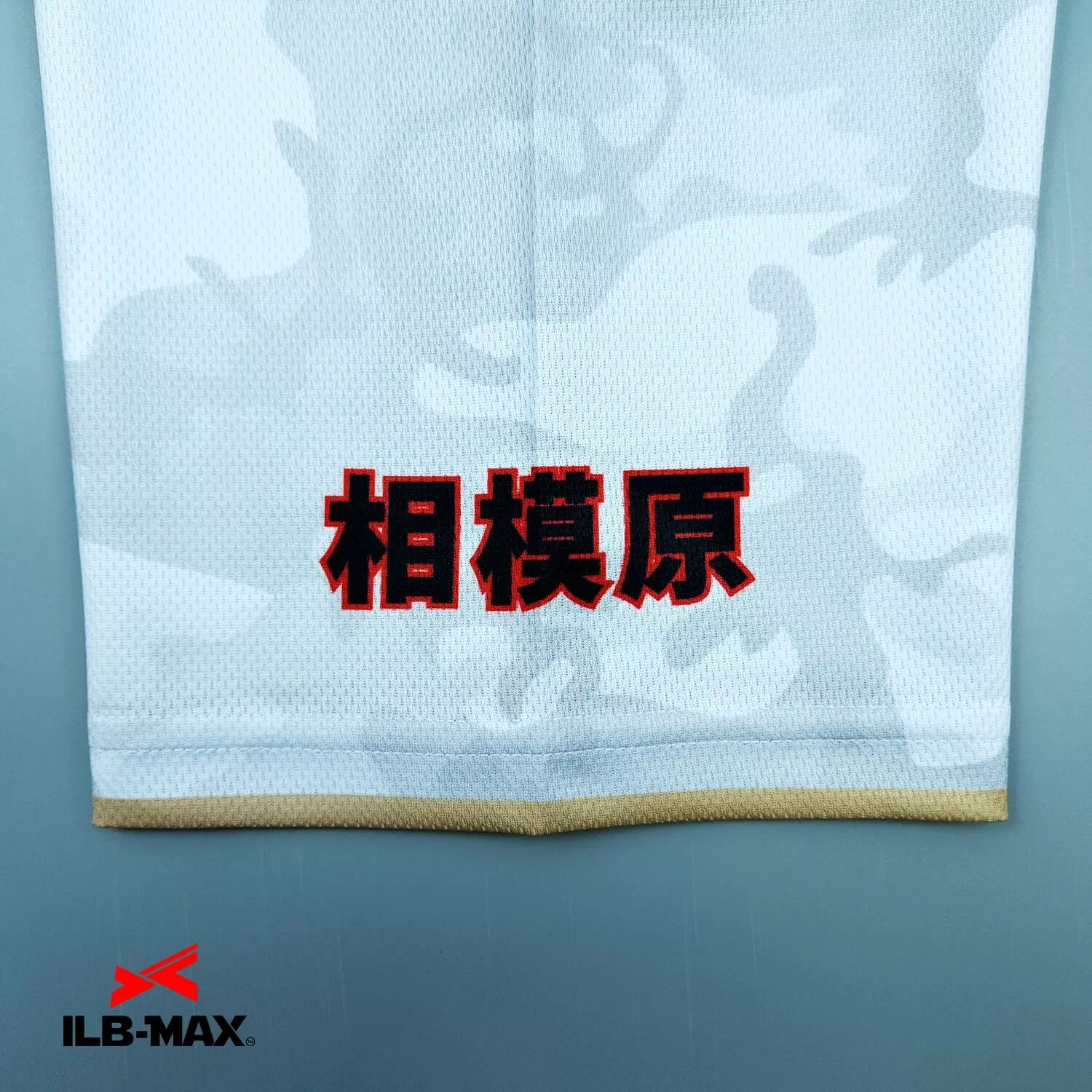 SAGAMIHARA Marines2