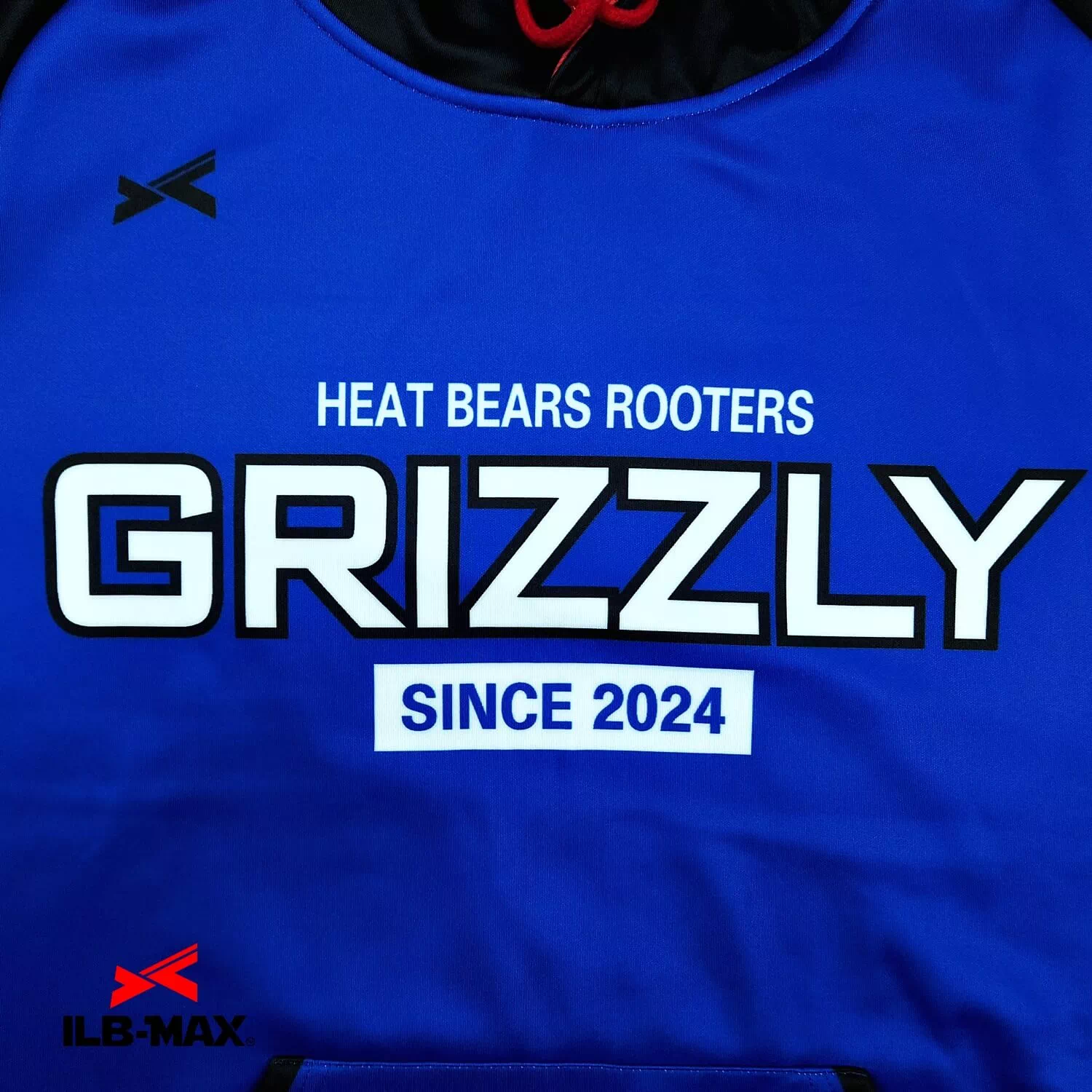 SAITAMA GRIZZLY_PV1